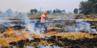 पराली जलाने में किसान की मजबूरी का हल खोजें